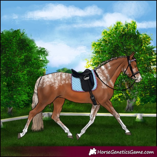 Horse Color:Powder White Chestnut