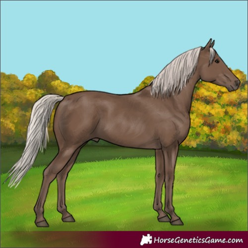 Horse Color:Silver Black 
