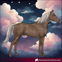 Horse Color:Silver Black
