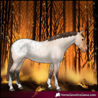 Horse Color:Bay Roan Dun Tobiano Frame Blanket Rabicano 