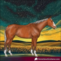 Horse Color:Silver Bay Rabicano 