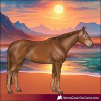 Horse Color:Gray Chestnut