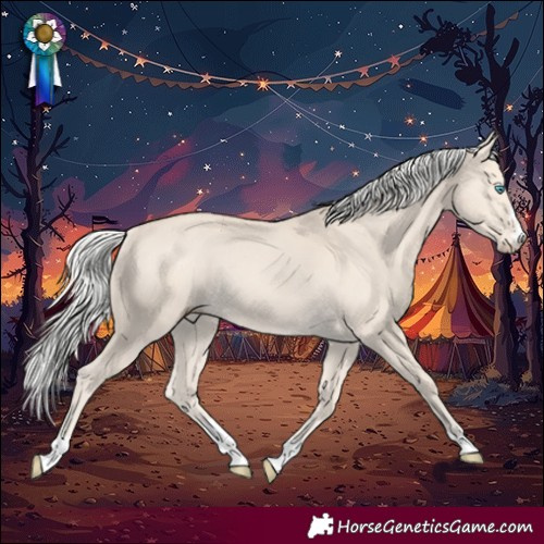 Horse Color:Silver Smoky Creme Rabicano
