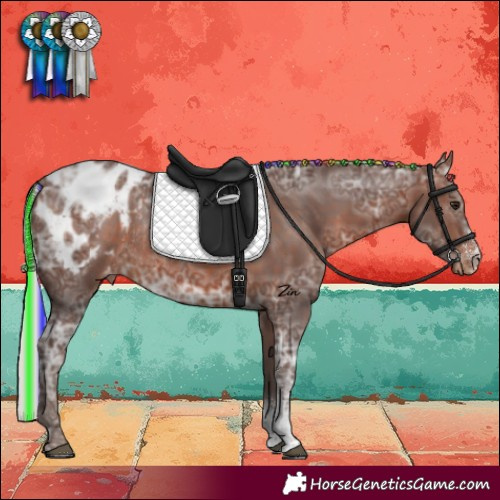 Horse Color:Painted Silver Brown Ice Sabino Appaloosa Rabicano