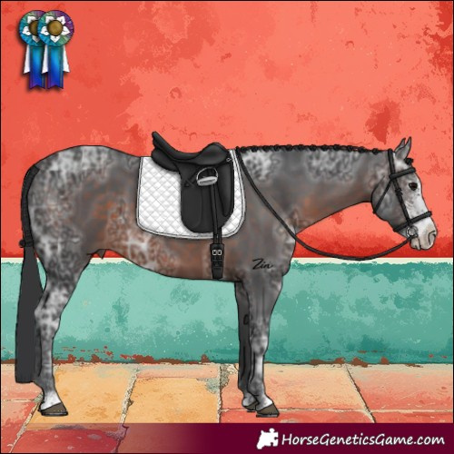 Horse Color:Brown Ice Sabino 