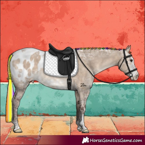 Horse Color:Painted Silver Brown Ice Dun Sabino Blanket