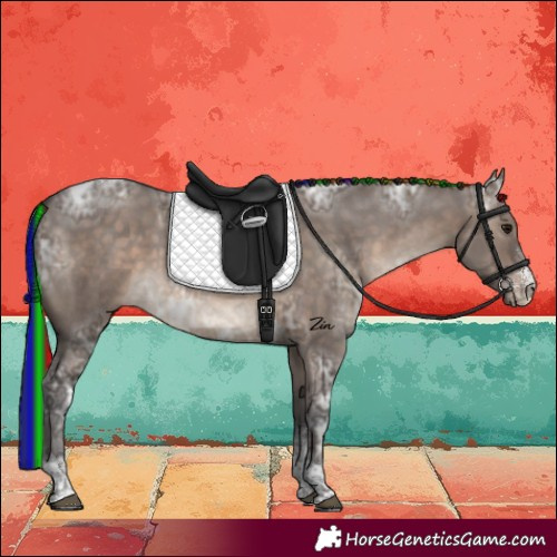 Horse Color:Painted Brown Ice Dun Sabino Tobiano Rabicano