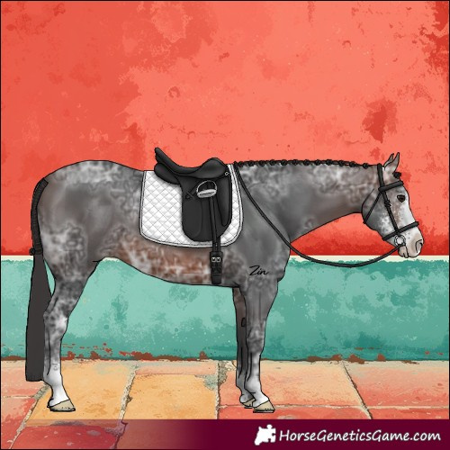 Horse Color:Brown Ice Sabino 
