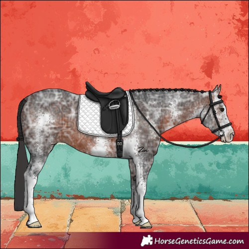 Horse Color:Brown Ice Sabino 