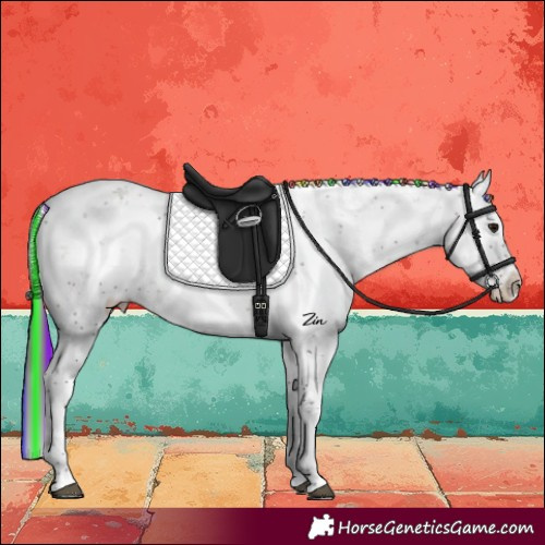 Horse Color:Painted Brown Ice Sabino