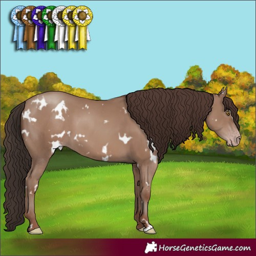 Horse Color:White Spotted Classic Champagne