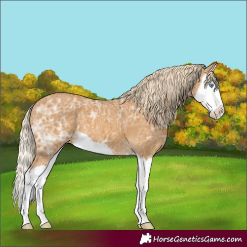 Horse Color:Palomino Ice Splash