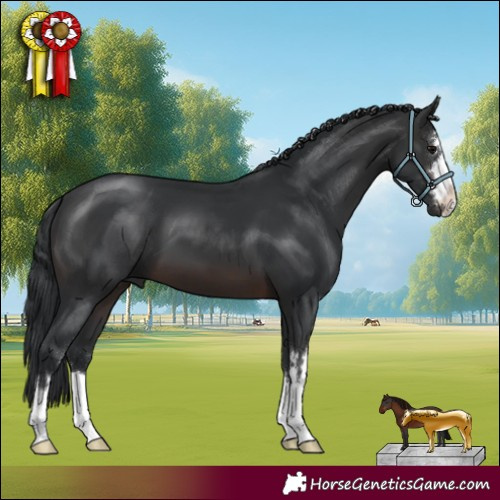 Horse Color:Brown 