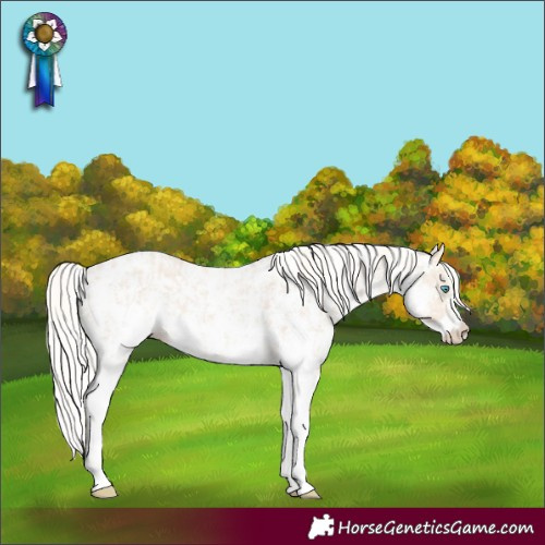 Horse Color:Cremello Sabino and Cremello Sabino Appaloosa