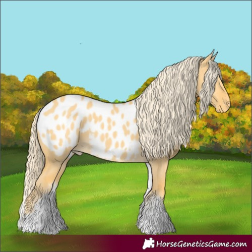 Horse Color:White Spotted Palomino Dun Blanket