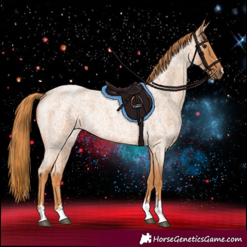 Horse Color:Red Roan 