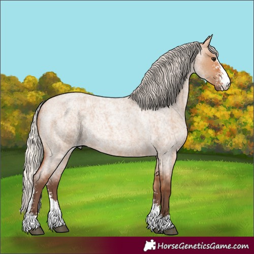 Horse Color:Silver Bay Roan Dun Sabino Rabicano