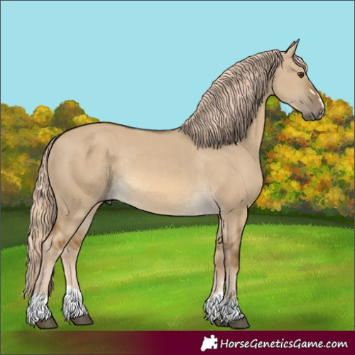 Horse Color:Unknown 