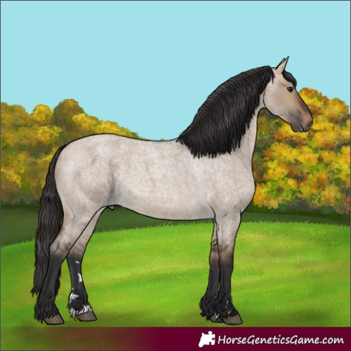 Horse Color:Unknown 