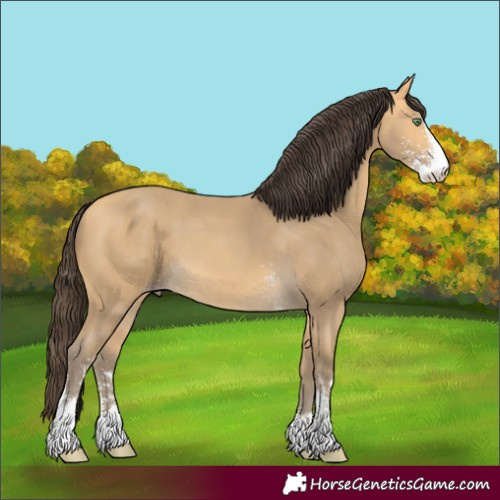 Horse Color:Unknown 