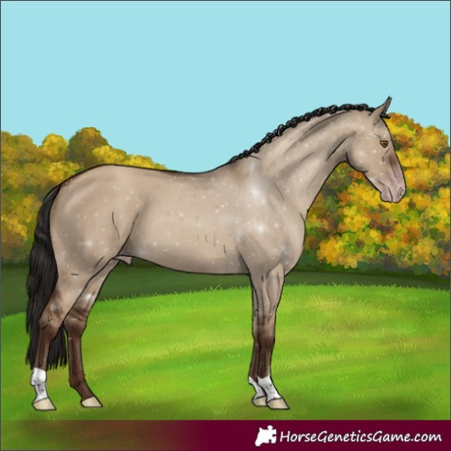 Horse Color:Gray Classic Champagne Dun