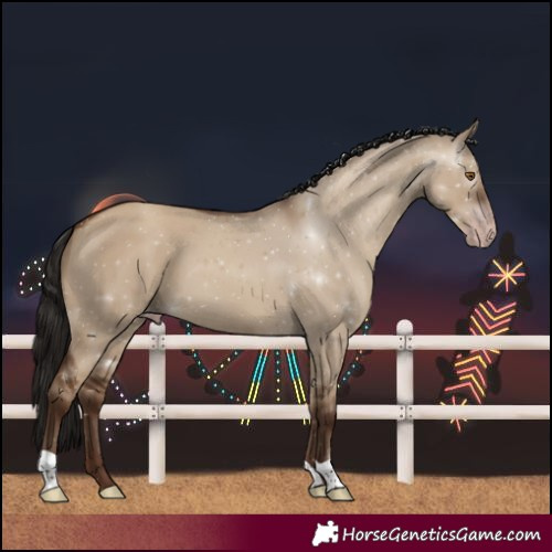 Horse Color:Gray Classic Champagne Dun 