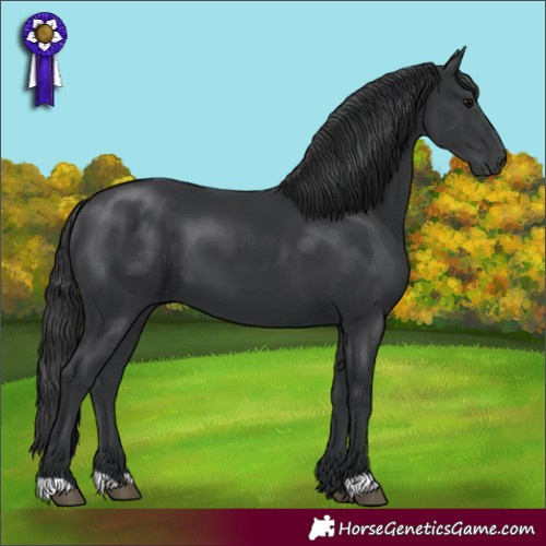 Horse Color:Unknown 