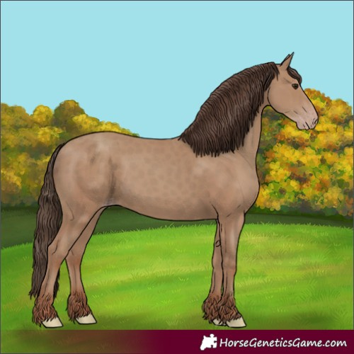 Horse Color:Unknown 
