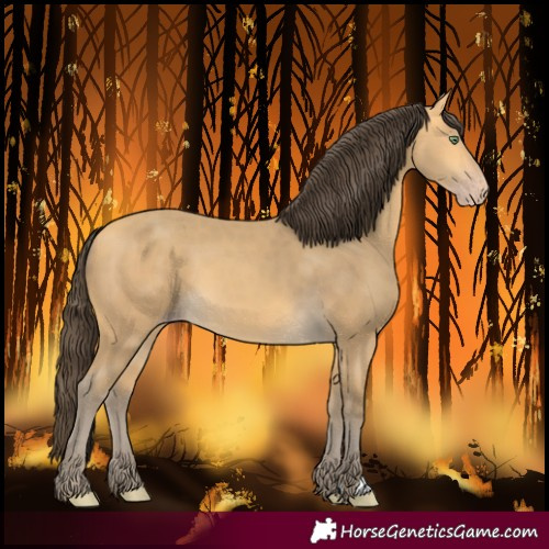 Horse Color:Amber Cream Champagne