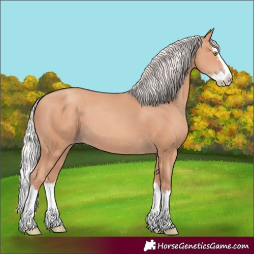 Horse Color:Unknown 