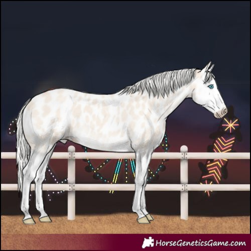 Horse Color:Silver Smoky Creme Roan Splash Near Leopard