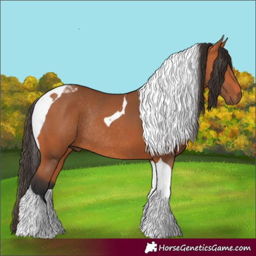 Horse Color:Bay Tobiano Rabicano 