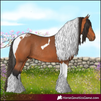 Horse Color:Bay Tobiano Rabicano 
