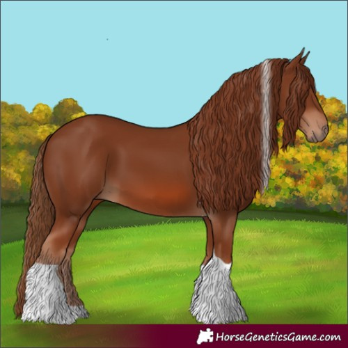 Horse Color:Chestnut Tobiano