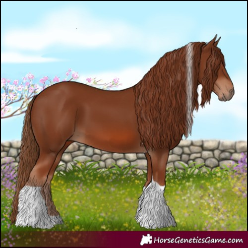 Horse Color:Chestnut Tobiano