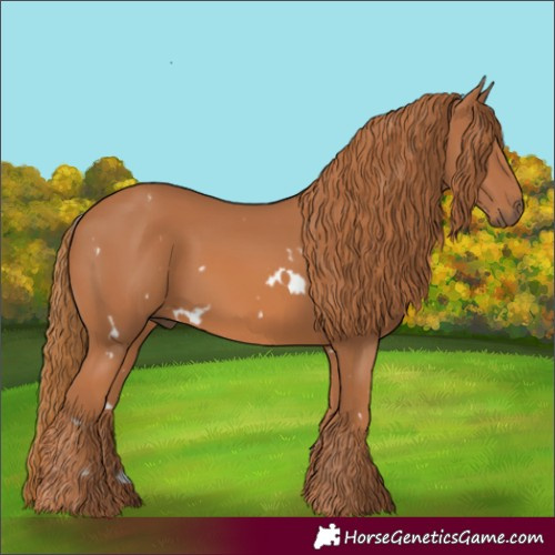 Horse Color:White Spotted Chestnut 