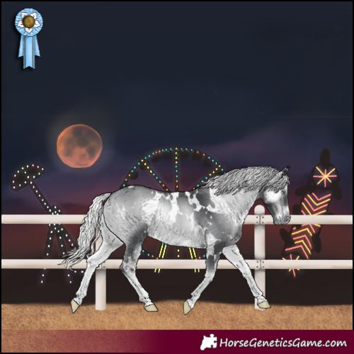 Horse Color:White Spotted Silver Brown Chinchilla Onyx
