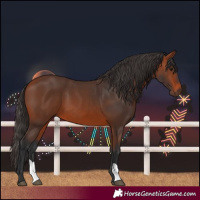Horse Color:Bay 