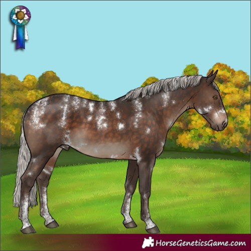 Horse Color:Powder White White Spotted Silver Brown 
