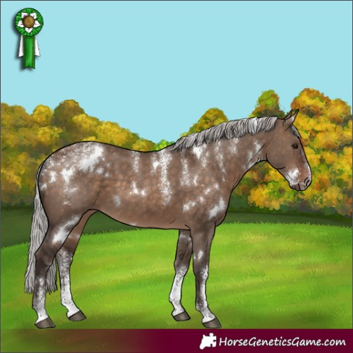 Horse Color:Powder White White Spotted Silver Brown Dun 