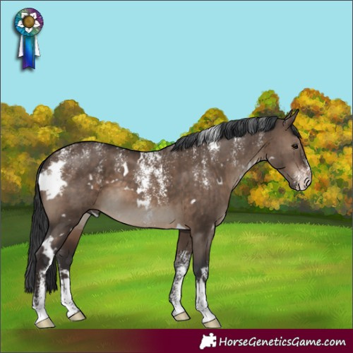 Horse Color:Powder White White Spotted Brown Dun Brindle 