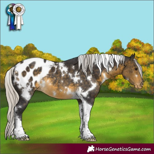 Horse Color:White Spotted Silver Buckskin Tobiano Appaloosa Rabicano 