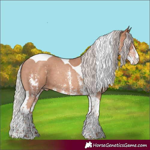 Horse Color:Silver Classic Champagne Sabino Tobiano
