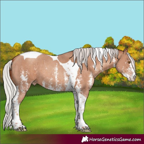 Horse Color:Silver Classic Champagne Sabino Tobiano