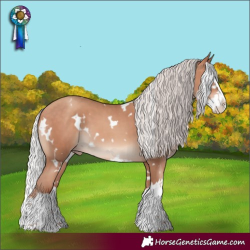Horse Color:White Spotted Silver Amber Champagne Splash