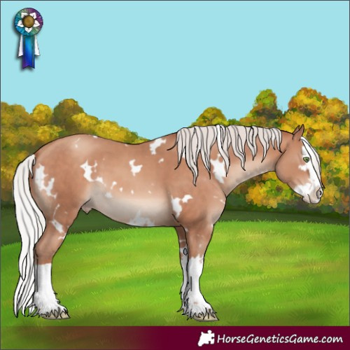 Horse Color:White Spotted Silver Amber Champagne Splash