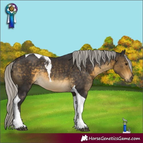 Horse Color:Silver Buckskin Tobiano Rabicano