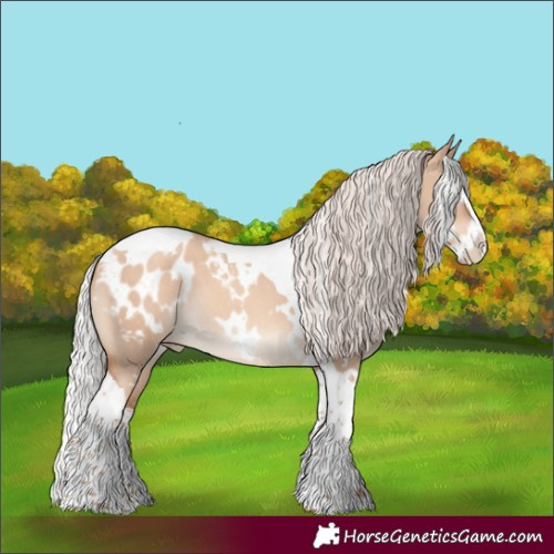 Horse Color:White Spotted Silver Classic Champagne Dun Splash Tobiano Blanket Rabicano 