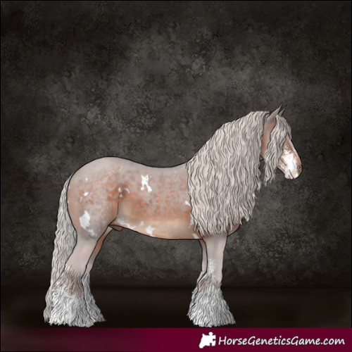 Horse Color:White Spotted Silver Brown Sabino 