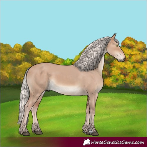 Horse Color:Silver Brown Dun